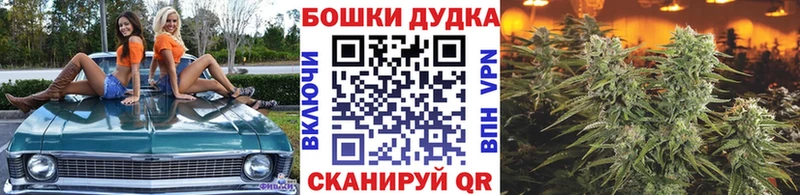 Как найти наркотики Тайшет Кокаин  Экстази  МАРИХУАНА  ГАШИШ  Alpha-PVP 